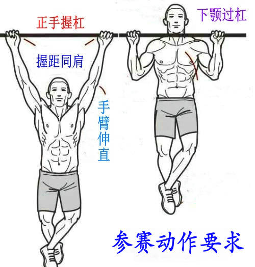 星速体育APP下载