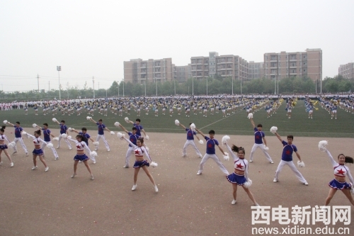 星速体育官方指定端图片